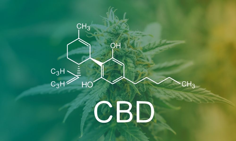 The Difference Between CBD and CBG