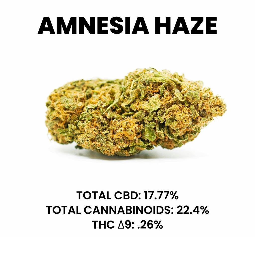 Amnesia Haze Hemp Flower by Black Tie CBD