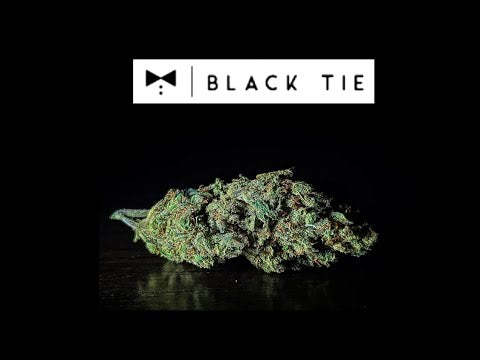The Smoke Doctor s Review of BubbleGum Special Reserve Indoor Black Tie CBD Exclusive
